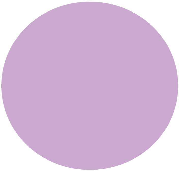 11. Flieder