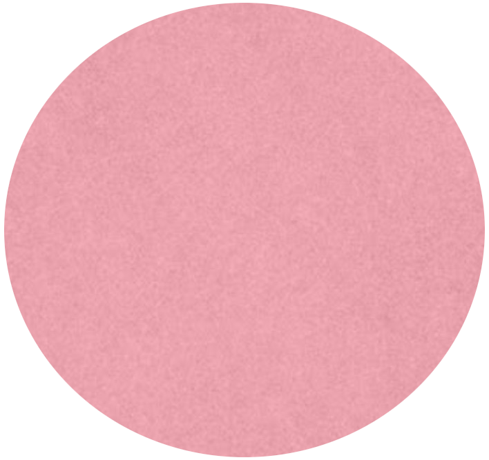 07. Rosa